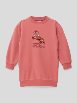 Bestes Angebot 🌟 S.Oliver RED LABEL Sweatkleid Mit Motiv-Print - Mauve 🎁